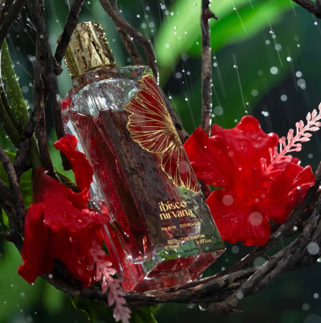 Ibisco Nirvana - Paris Corner