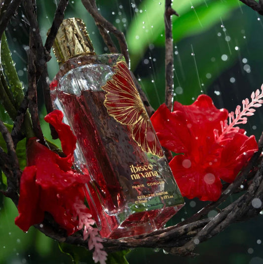 Ibisco Nirvana - Paris Corner